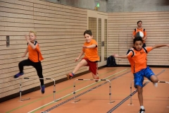 356_49277_5831e0244d