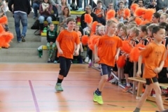 fair2