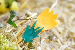 180322-6D-1514-1500px